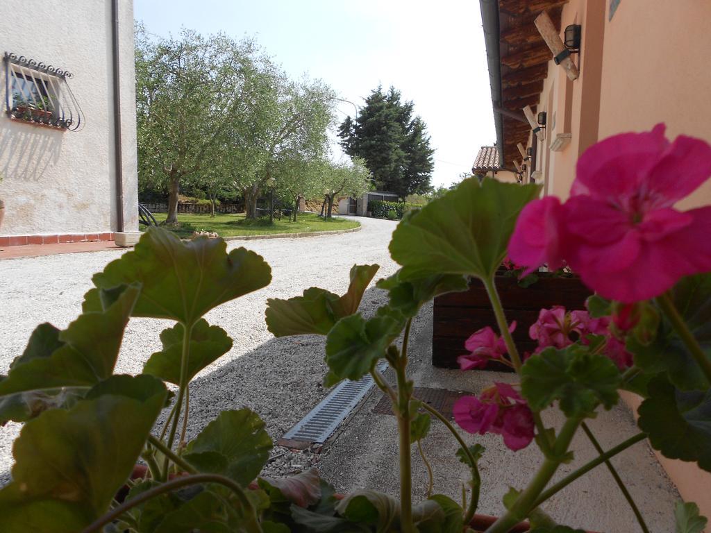 Santa Croce Villa Fossato di Vico Exterior photo